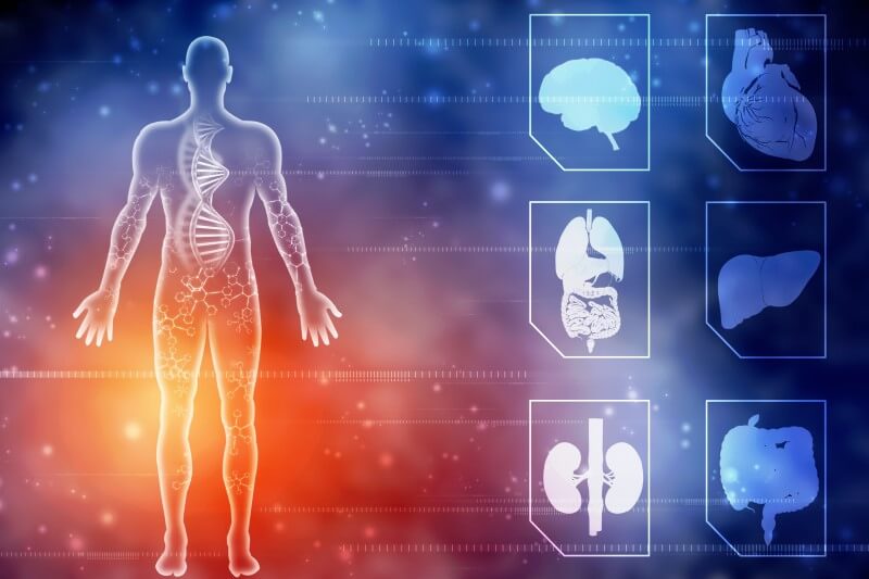 Harmonizar as frequências do corpo para reencontrar o equilíbrio interior